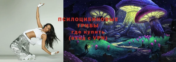 прущая мука Ельня