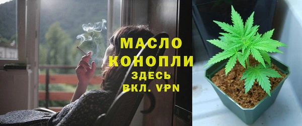 прущая мука Ельня