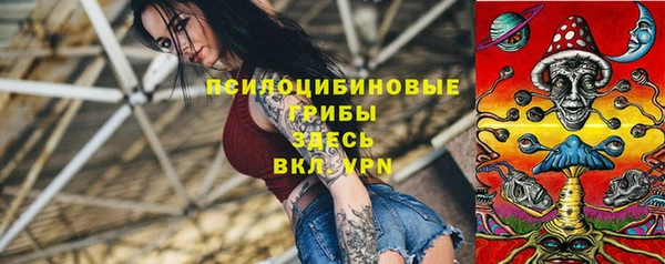спиды Дмитриев