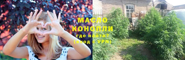 спиды Дмитриев